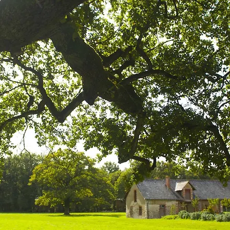 Ecolodges De Loire & Spa Gennes-Val-de-Loire Buitenkant foto