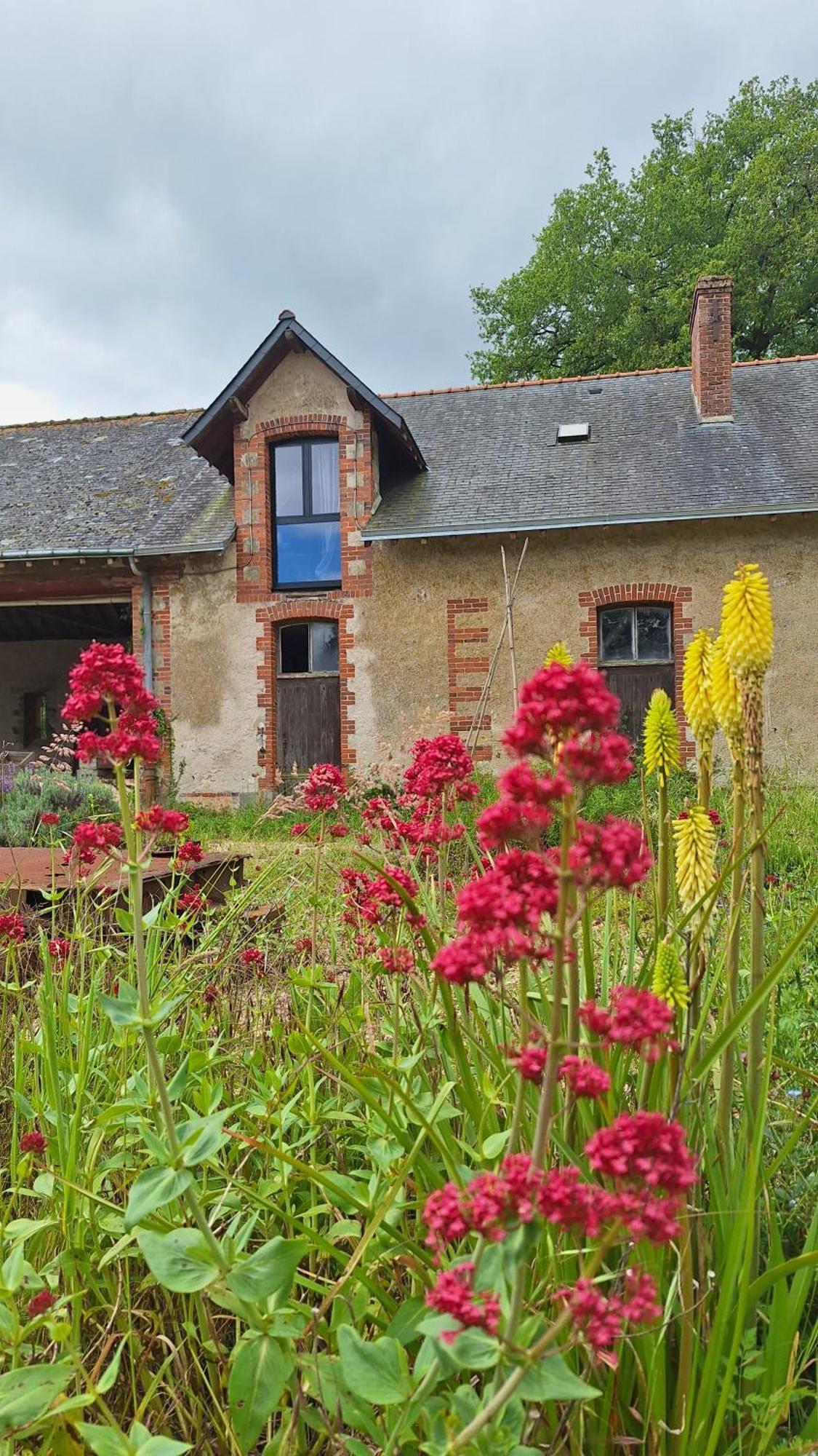 De Loire & Lodge Gennes-Val-de-Loire